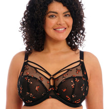 Load image into Gallery viewer, Elomi Sachi Plunge Bra
